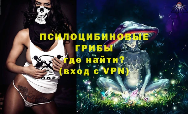 mdpv Белокуриха