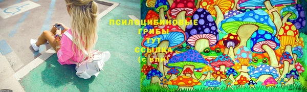 гидра Слюдянка