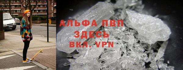 стаф Снежногорск