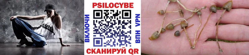 Галлюциногенные грибы Psilocybine cubensis  Бородино 
